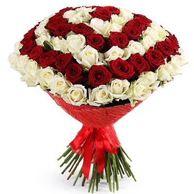 101 white and red roses 101 white and red roses