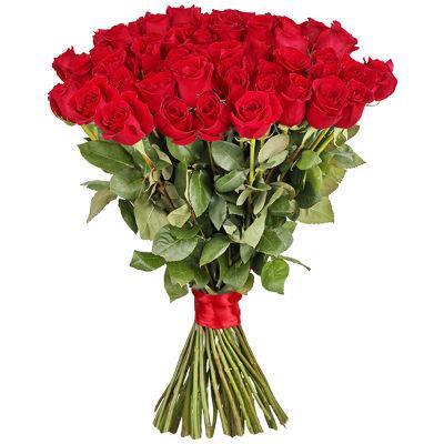 Изысканный букет из 51 красной импортной розы