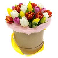 25 різнокольорових тюльпанів в шляпній коробці.