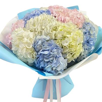 Легка композиція з 11 гортензій Легка композиція з 11 гортензій
