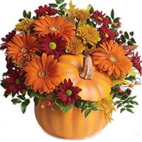Composition with chrysanthemums in a pumpkin