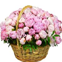 Delightful basket of 101 flavored peonies