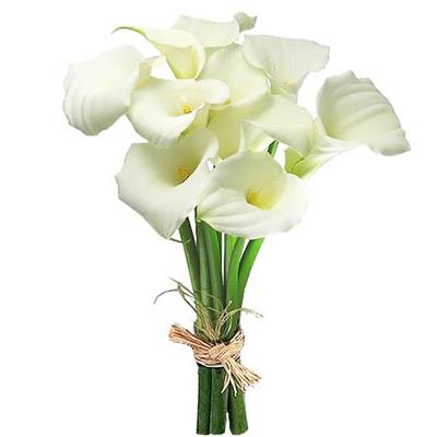 9 delicate calla lilies 9 delicate calla lilies