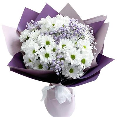 A bouquet of chrysanthemums and gypsophila A bouquet of chrysanthemums and gypsophila