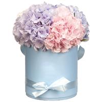 Box with hydrangeas