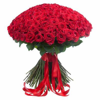 Bouquet of 201 gorgeous roses Bouquet of 201 gorgeous roses