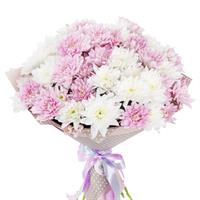 Букет из 11 розовых и белых хризантем