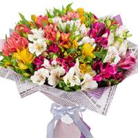 Bouquet of 25 multi-colored alstromeries