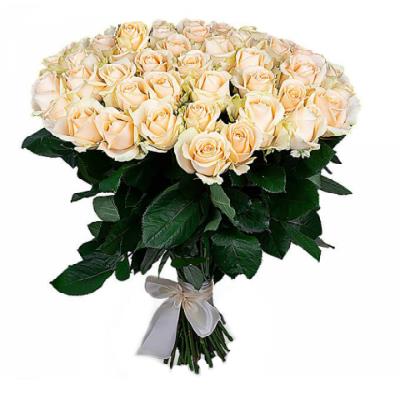 Delicate bouquet of 51 cream roses Delicate bouquet of 51 cream roses
