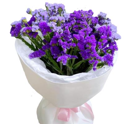 Букет з 9 гілок статиці Букет з 9 гілок статиці