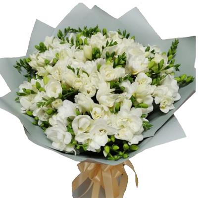 Букет з 51 фрезії Букет з 51 фрезії