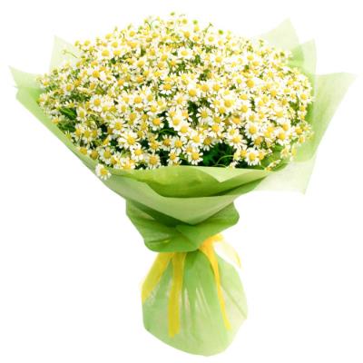 Чарівний букет з польових ромашок Чарівний букет з польових ромашок