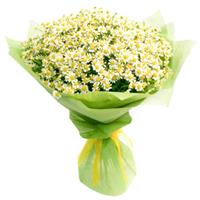 Чарівний букет з польових ромашок Чарівний букет з польових ромашок