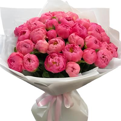 Huge bouquet of 51 coral peonies Huge bouquet of 51 coral peonies