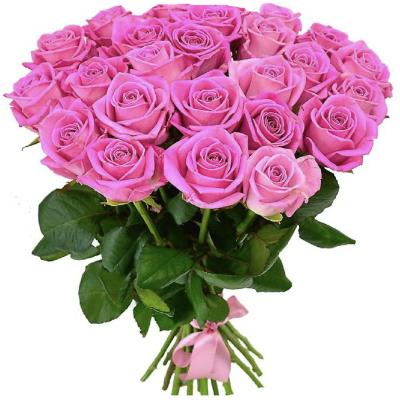 Нежнейший букет из 25 роз Нежнейший букет из 25 роз