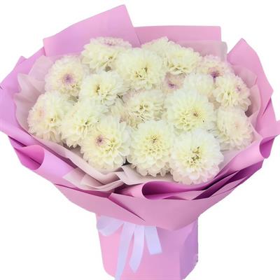 Букетик из белых георгин Букетик из белых георгин