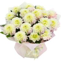 Bouquet of white dahlias