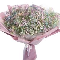 Lush bouquet of gypsophila