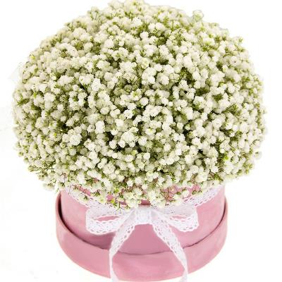 Нежная гипсофила в шляпной коробке Нежная гипсофила в шляпной коробке
