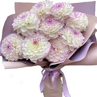 Delicate bouquet of 9 dahlias
