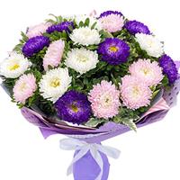 Bouquet of 21 asters