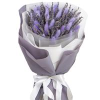Delicate composition of lagurus and lavender