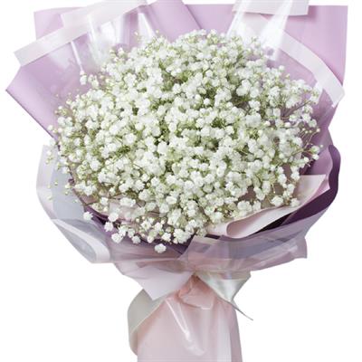 Small bunch of 5 branches of white gypsophila Small bunch of 5 branches of white gypsophila