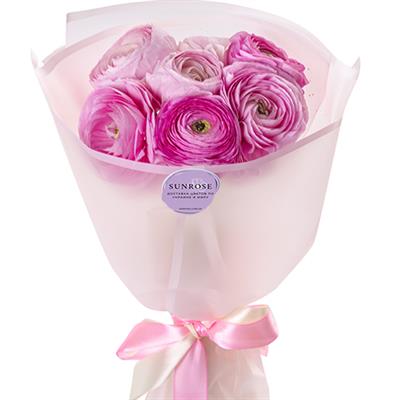 Delicate bouquet of pink ranunculus Delicate bouquet of pink ranunculus
