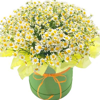Композиція в коробочці з польовими ромашками Композиція в коробочці з польовими ромашками