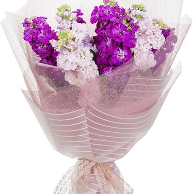 Bouquet of tender matiola Bouquet of tender matiola