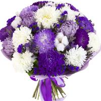 Delicate bouquet of asters and cotton