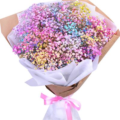 Bouquet of 11 branches of colorful gypsophila Bouquet of 11 branches of colorful gypsophila