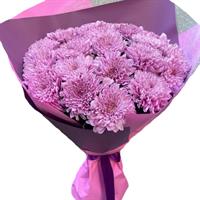 Lush bouquet of pink single-headed chrysanthemum