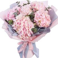 Bouquet of 5 pink hydrangeas with eucalyptus