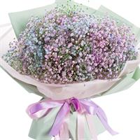 Bouquet of 15 colorful gypsophila