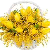 Корзина с желтыми тюльпанами и мимозой