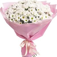 Lush bouquet of 21 chamomile chrysanthemums