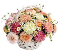 Корзина из астр и ромашек