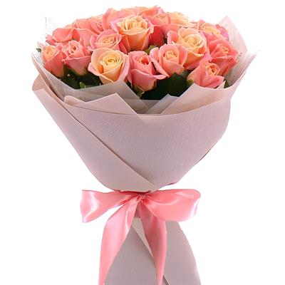 19 magical pink roses 19 magical pink roses