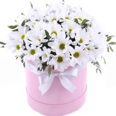 Коробка хризантемами Коробка хризантемами