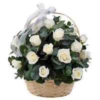 Basket of 35 white roses
