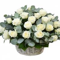 Корзина из 35 белых роз