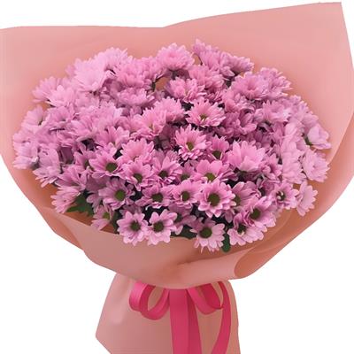 Bouquet of pink chrysanthemums Bouquet of pink chrysanthemums