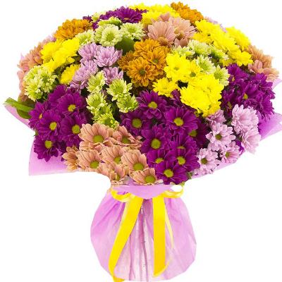 15 chrysanthemum 15 chrysanthemum