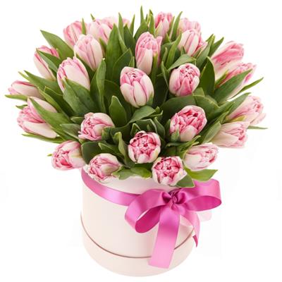 Box with pink tulips Box with pink tulips