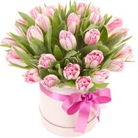 Коробка с 29 розовыми тюльпанами