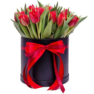 25 тюльпанов красного цвета, в коробке