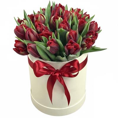 25 red tulips in the box 25 red tulips in the box