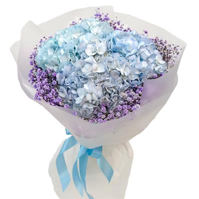 Gentle bouquet with hydrangea and gypsophila Gentle bouquet with hydrangea and gypsophila