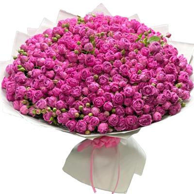 Gigantic bouquet of 101 peony roses Gigantic bouquet of 101 peony roses